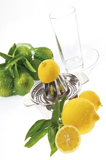 Fresh Lemons Drucke: Lemons