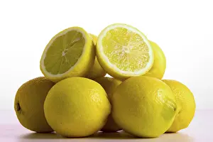 Lemon Fruit Drucke: Lemons
