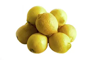 Yellow Citrus Fruit Drucke: Lemons