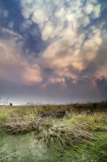 Dutch Landscape Photography Drucke: Lenticular clouds during storm over bog at sunset