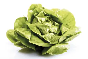 Leafy Vegetable Nutrition Drucke: Lettuce