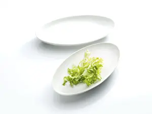 Diet Food Drucke: Lettuce leaf on a plate