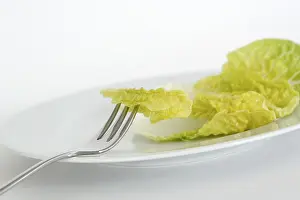 Vitamin Rich Vegetable Drucke: Lettuce leaf on a plate