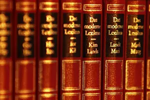 Empty Library Shelves Drucke: Lexicon