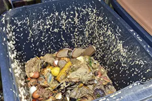 Waste Separation Drucke: Own life in a compost bin