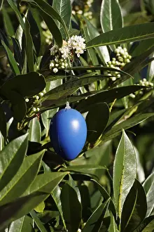European Easter Traditions Drucke: Still life with Easter egg, Germany