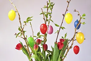 Studio Shot Of Easter Eggs Drucke: Still life with Easter eggs, Easter bouquet