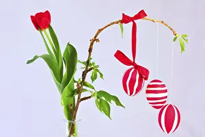 Studio Shot Of Easter Eggs Drucke: Still life with Easter eggs, Germany