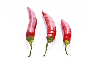 Spicy Meal Ideas Drucke: A still life shoot of red pepper on the table