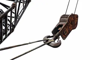 Wildlife Photography Details Drucke: A lifting hook