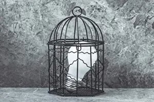 Symbolic Light Bulb Image Drucke: A light bulb in a cage.Blocking new ideas concept