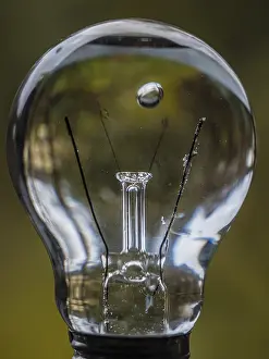 Close Up Still Life Drucke: Light bulb filled with water drops