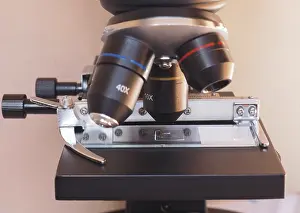 Detailed Macro Photography Drucke: Light microscope detail