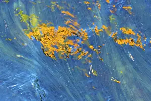 Northern Europe Waterfront Images Drucke: Light reflection in a stream, abstract