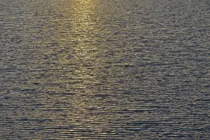 Northern German Coastlines Drucke: Light reflections of the evening sun on the wavy water surface