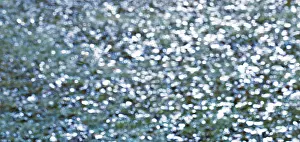 Light Reflection On Water Drucke: Light reflections on the water surface
