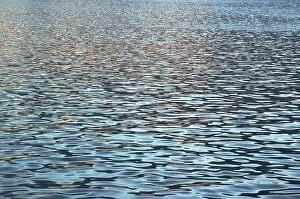 Evening Light On The Water Drucke: Light reflections on the water surface