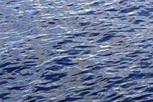 Artificial Lake Landscape Photography Drucke: Light reflections on the wavy water surface