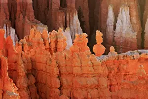 Setting Sun Atmosphere Drucke: The light of the setting sun emphasises the textures of the eroded hoodoo rocks