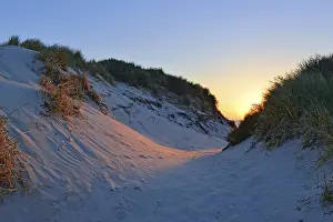 North Sea Sunset Drucke: Light of the setting sun falls in a dune valley