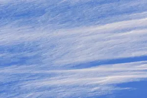Southern Germany Winter Scenery Drucke: Light and shadow on snowy slope