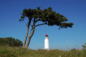 Baltic Sea Shoreline Drucke: Lighthouse