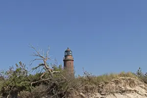 Lighthouse Germany Drucke: Lighthouse, beach, dead tree, break-off edge