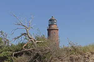 Lighthouse Germany Drucke: Lighthouse, beach, dead tree, break-off edge