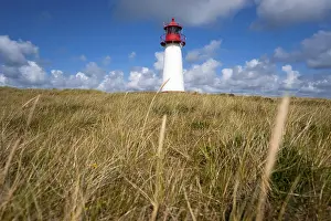 German North Sea Coast Drucke: Lighthouse with blue sky at Ellenbogen