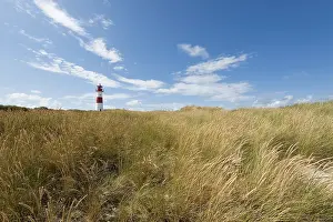 German North Sea Coast Drucke: Lighthouse with blue sky at Ellenbogen
