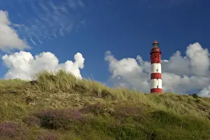 Amrum Lighthouse Drucke: Lighthouse in the dunes, Amrum