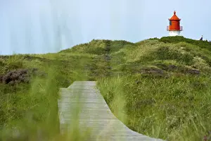 North Frisian Island Lighthouse Drucke: Lighthouse in the dunes, Amrum