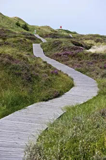 Amrum Island Germany Drucke: Lighthouse in the dunes, Amrum