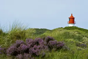 Amrum Lighthouse Drucke: Lighthouse in the dunes, Amrum