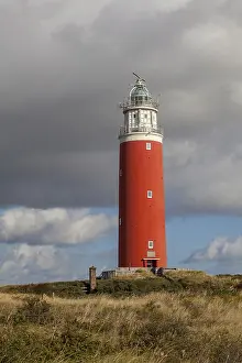 Eierland Lighthouse Drucke: Lighthouse Eierland with dunes