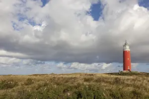 De Cocksdorp Beach Scene Drucke: Lighthouse Eierland with dunes