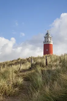 North Holland Province Drucke: Lighthouse Eierland with dunes
