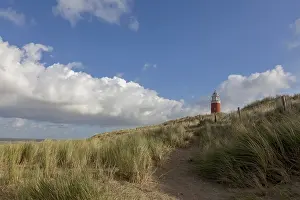 North Sea Coastal Scene Drucke: Lighthouse Eierland with dunes