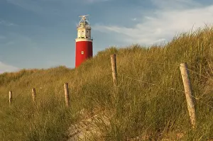 North Sea Lighthouse Drucke: Lighthouse, evening light, Texel