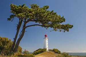 Lighthouse Germany Drucke: Lighthouse on the island of Hiddensee