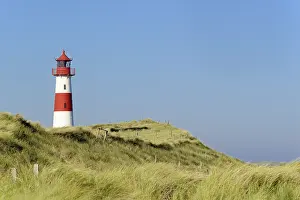 Sylt Germany Drucke: Lighthouse List-Ost in the dunes