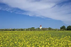 German Countryside Landscape Drucke: Lighthouse with a rapeseed field