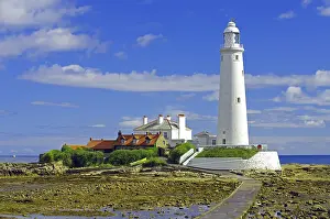Tynemouth Lighthouse Drucke: Lighthouse and small path, St. Mary's Lighthouse
