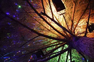 Drucke von Beleuchtung des Weihnachtsbaumes im Inneren. Nachts Weihnachtsspielzeuge. Verzierter Weihnachtsbaum auf der Straße. Atyrau, Kasachstan, Eurasien Verwandte Bilder Drucke: Das Weihnachtsbaum innen anmachen.