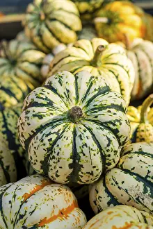 Deserted Pumpkin Field Drucke: Lil Pump Kemon