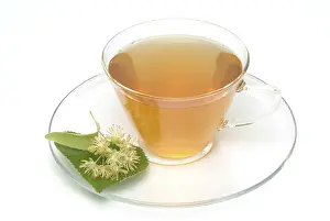 Medicinal Herb Photography Drucke: Lime blossom tea
