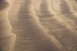 Canary Islands Deserted Beach Drucke: Line Pattern in the mixture of yellow and black sand close up