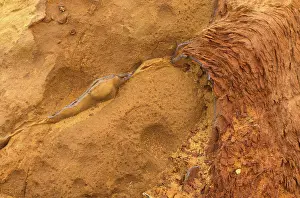 Uninhabited North Sea Islands Drucke: Lines and structures, reddish rock of limonite