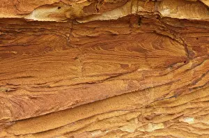 Morsum Cliff Geotope Germany Drucke: Lines and structures, reddish rock of limonite