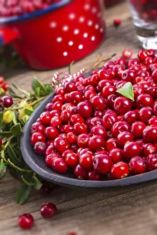 Gerahmter Druck : Lingonberries Gerahmter Druck : Lingonberries